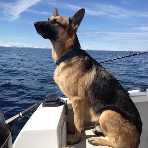 Meet your Posher, Gail